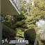 Annonces BELLEVILLE : Apartment | CALUIRE-ET-CUIRE (69300) | 92 m2 | 516 850 € 